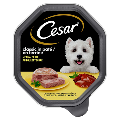 Packshot_546426-1000x1000.jpg
